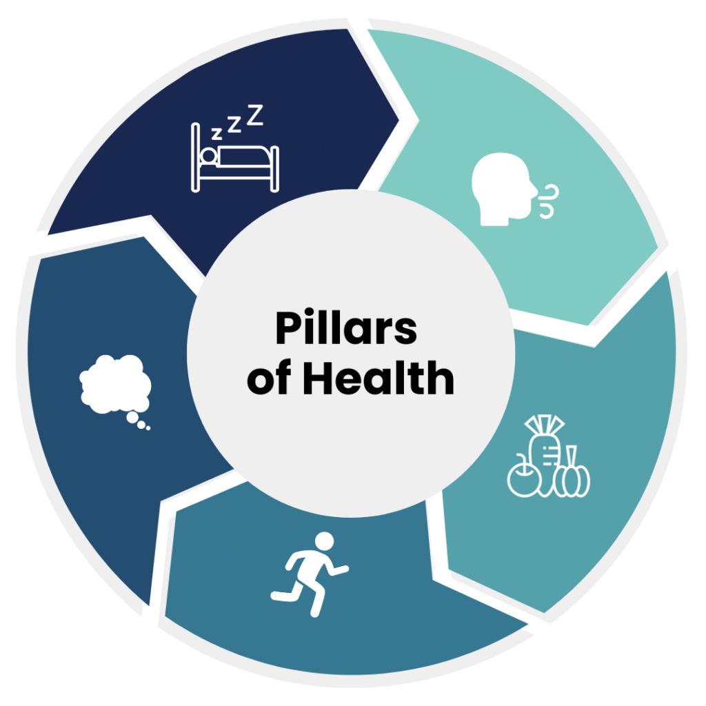 Buid Health with Pillars of Health 1