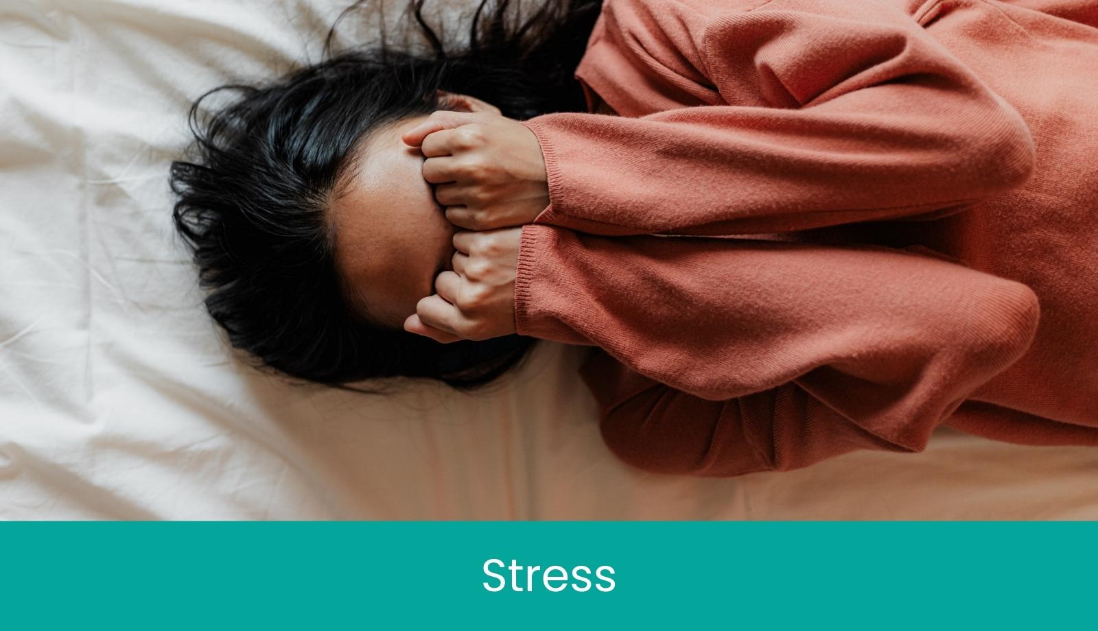 Stress Health Program
